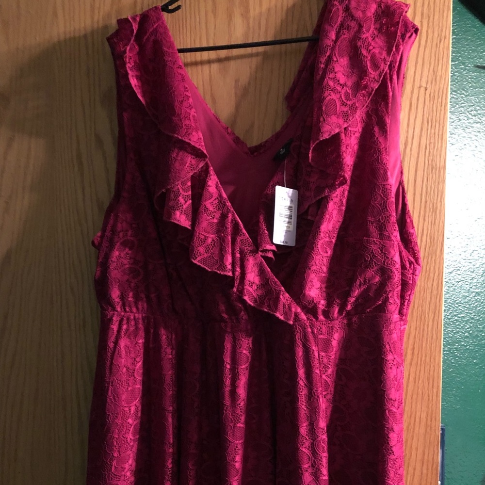 Brand new torrid skater dress! NWT!